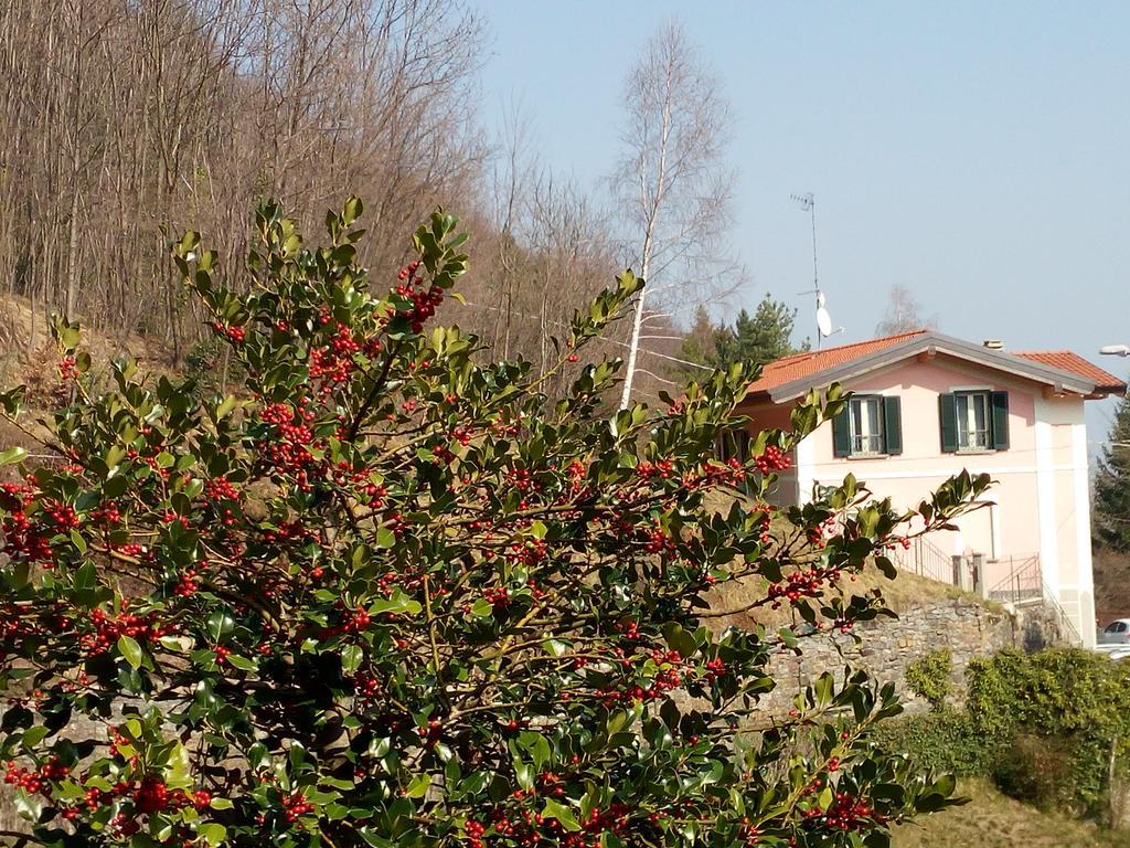 La Villa Morandi Marzio Екстер'єр фото